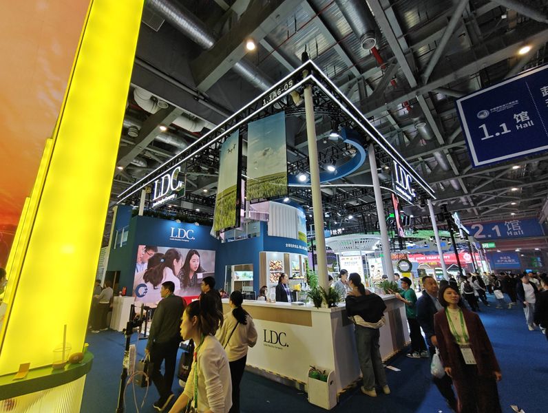 奥地利展台设计搭建